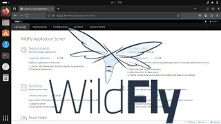 How to Install WildFly Application Server on Ubuntu [upl. by Alleira]