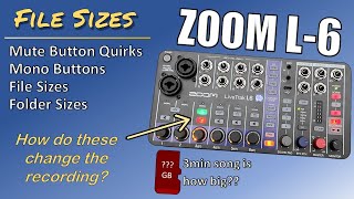 ZOOM L6 File Sizes Mute Button Mono Button During Recording [upl. by Nared]