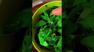 Moringaleaves ragi rotiragirecipes diabeticfood gluten freeviral ytshorts [upl. by Ahsikram]