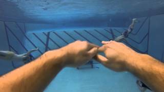 Navy Underwater Football [upl. by Penhall]