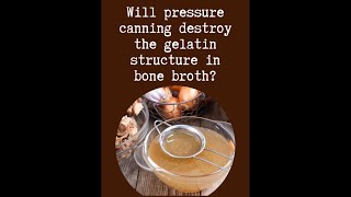 Does Canning Destroy Gelatin in Bone Broth [upl. by Wernher917]