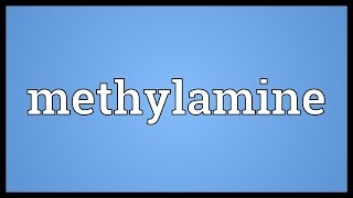 Methylamine Meaning [upl. by Ynatirb780]