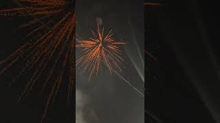 Moorthy Firework Black Dog 30 Cracklings Skyshot diwalifirework firecracker skyshot [upl. by Ahsilad]