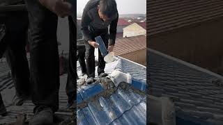 Roof cap tile laying with cement morta goodtools short [upl. by Leile994]