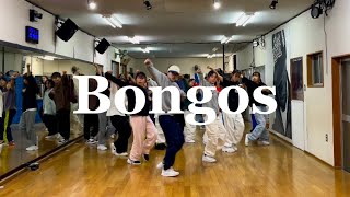 Bongos  Cardi BMeagan Thee Stallion  Choreography by WAON [upl. by Ibrik]