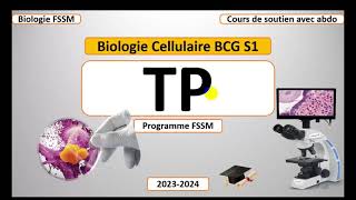 Biologie Cellulaire BCG S1  Partie Travaux Pratique TP FSSM [upl. by Willdon]