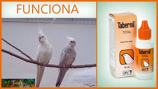 🐤 TABERNIL total VITAMINAS para PAJAROS 🐦🐦🐤 [upl. by Vaasta966]