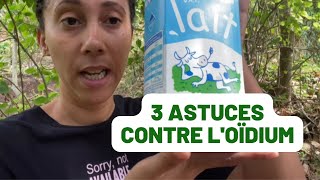 DE LOIDIUM   Voici 3 astuces à connaitre [upl. by Wendall483]