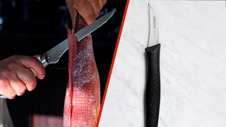 Curved vs Straight Boning Knife Which is Best for You [upl. by Ezekiel]