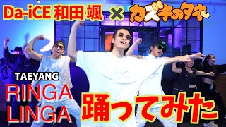 和田颯DaiCEとTAEYANG RINGA LINGA 踊ってみた [upl. by Nedac]