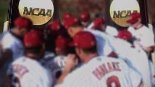 2014 South Carolina Baseball Intro [upl. by Odnanreh838]