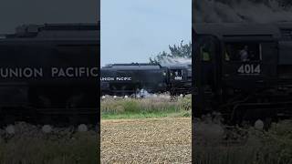 UP Big Boy 4014 Steam eastbound near Blairstown IA taken in September 2024 [upl. by Anes]