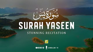 Most beautiful recitation of Surah Yaseen Yasin سورة يس ⋮ Zikrullah TV [upl. by Jeremias]