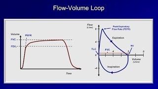 Pulmonary Function Tests PFT Lesson 2  Spirometry [upl. by Ressay]