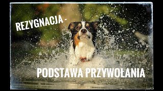 Przywołanie psa Rezygnacja Trener opowiada 2 [upl. by Larina964]