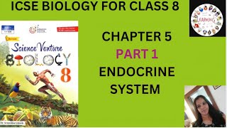 ENDOCRINE SYSTEM PART 1 [upl. by Enelaj]