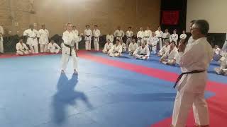 Sanseru kata at JKF Gojukai Seminar Australia [upl. by Elokin]