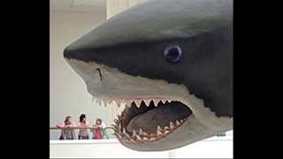 Megalodon worlds biggest shark [upl. by Notlehs]