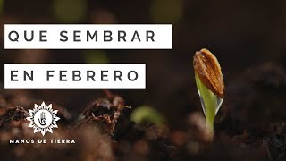 Que Sembrar En FEBRERO calendario de siembrahemisferio norte y sur [upl. by Kcinimod906]