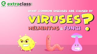 What Common diseases are caused by Viruses Helminths and Fungi [upl. by Frodin613]