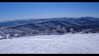 Jay Peak powder skiing [upl. by Kos]