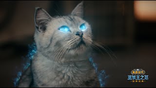 Cat WoW  WOTLK Classic Ad Episode 2 China 2024 [upl. by Cirtemed722]