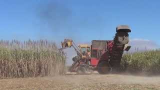 Sugar Cane Harvester in Australia [upl. by Aeduj617]