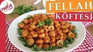 Fellah Köftesi Tarifi  Bulgur Köftesi  Nefis Yemek Tarifleri [upl. by Llemhar]