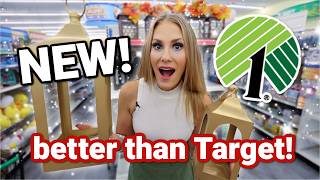 ✨ NEWEST ✨ DOLLAR TREE finds BETTER than Target easy DIY  new cleaners [upl. by Selec]