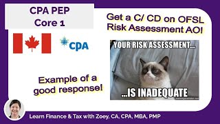 CPA PEP  Core 1  Audit planning memo  OFSL Risk Assessment [upl. by Hyps]