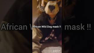 Making an African Wild Dog mask  therian furry cringe fyp [upl. by Duff]