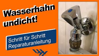 Wasserhahn undicht Reparaturanleitung zum Austausch des Hahnoberteils [upl. by Allecnirp466]