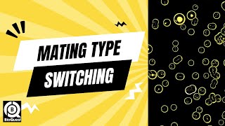 Mating Type Switching  Recombination in Gene Regulation  Recombination  Basics to Advance [upl. by Mei]