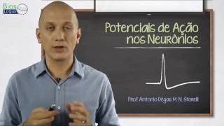 Potencial de Ação nos Neurônios  Videoaula de Fisiologia [upl. by Kristianson215]