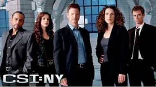 CSI New York Theme Tune [upl. by Ellenad]