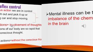 Grade 10 Biology Unit 3 Central nervous system part 2 [upl. by Redford715]