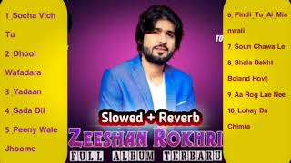 Best of Zeeshan RokhriTrending Songs 2024 Zeeshan Rokhri new Songs Collection2024Slowed Studio🎵 [upl. by Ynehteb]