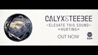 Calyx amp TeeBee  Elevate This Sound Original Mix Amazing Quality [upl. by Wilbur]