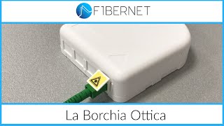 I vantaggi della Borchia ottica Fibernet [upl. by Josi]