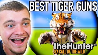 Testing the Best Tiger Hunting Guns [upl. by Lilith]