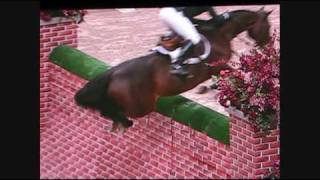 Puissance WIHS  Horse jumps 7 foot wall [upl. by Friedman]