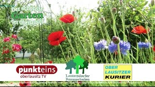 Schönster Garten der Oberlausitz 2017 [upl. by Drawdesemaj]