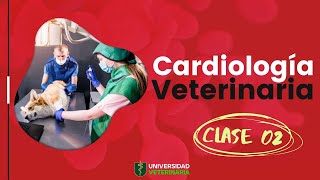 CARDIOLOGÍA VETERINARIA  CLASE 02 [upl. by Rysler96]