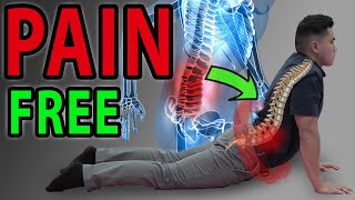 6 Absolute Best Exercises for Low Back Pain  SIJ  Facet Syndrome Mobilisation  Lumbar Pain [upl. by Hanikahs]