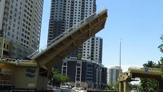 Fort Lauderdale Downtown Florida Drawbridge on S Andrews Ave by Huizenga Plaza 20240410 [upl. by Hirz81]