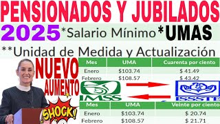 💥IMSS ISSSTE PENSIONADOS Y JUBILADOS LEY 73 LEY 97 TRANSITO E INDIVIDUALES NUEVA PENSIÓN 2025💥 [upl. by Nnyleimaj665]