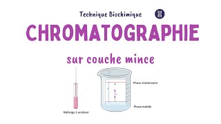 Principe de la Chromatographie sur couche mince CCM  Biochimie Facile [upl. by Ruth]