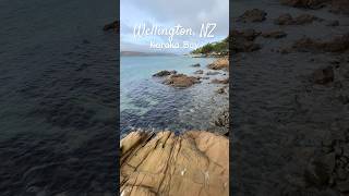 Wellington NZ 📍Karaka Bay wellington newzealand karakabay places travelvlog [upl. by Gildas]