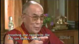 Dalai Lama  Why meditate [upl. by Aihsitan]