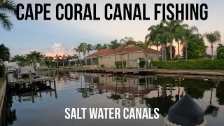 Fishing The Cape Coral Canals In Florida  Beginners And Visitor Gear Guide [upl. by Cowan374]